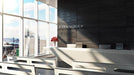 Ivory White application