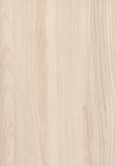 EGGER H3860 ST9 Champagne Hard Maple decor swatch