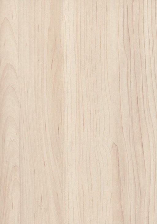 EGGER H3860 ST9 Champagne Hard Maple decor swatch