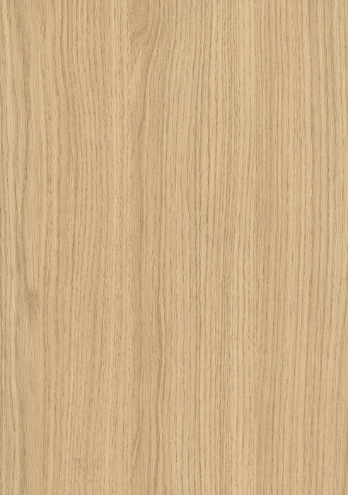 EGGER H3157 ST12 Vicenza Oak decor swatch