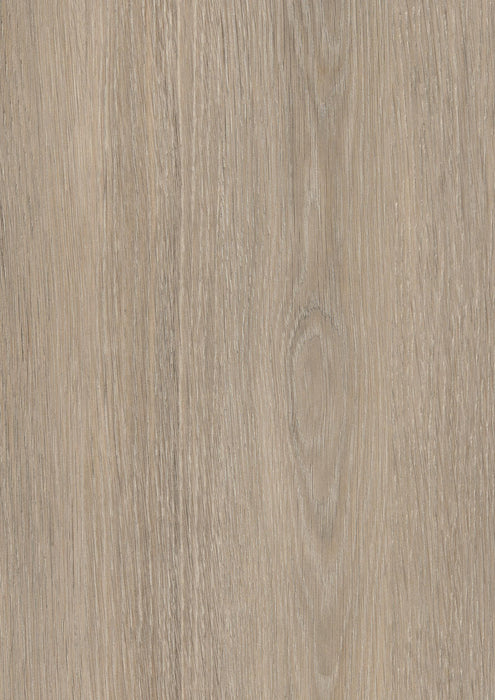 EGGER H3146 ST19 Beige Grey Lorenzo Oak decor swatch
