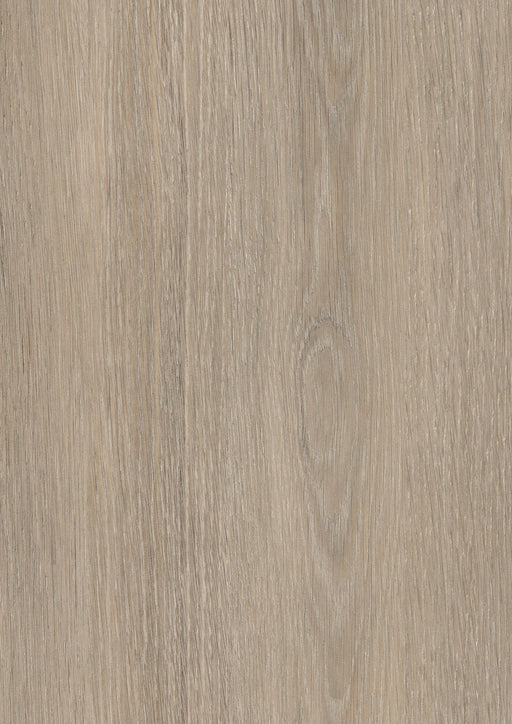 EGGER H3146 ST19 Beige Grey Lorenzo Oak decor swatch