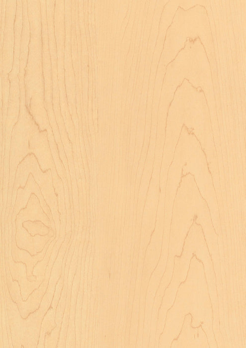 EGGER H1816 ST7 Natural Maple decor swatch