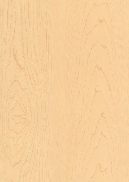 EGGER H1816 ST7 Natural Maple decor swatch
