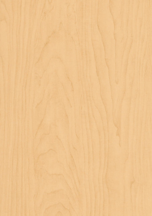 EGGER H1815 ST7 Hardrock Maple decor swatch