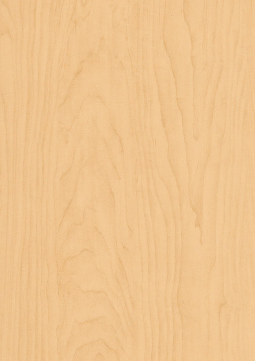 EGGER H1815 ST7 Hardrock Maple decor swatch