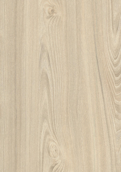 EGGER H1701 ST12 White Tossini Elm decor swatch