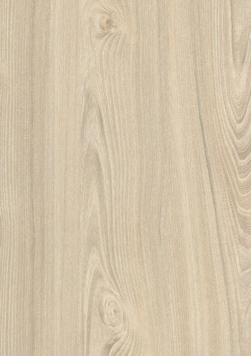 EGGER H1701 ST12 White Tossini Elm decor swatch