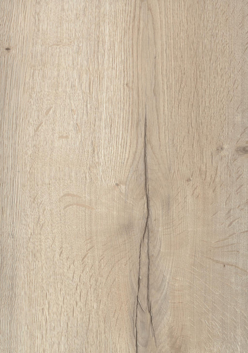 EGGER H1176 ST37 White Halifax Oak decor swatch