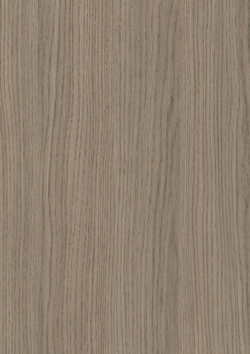 EGGER H3158 ST19 Grey Vicenza Oak decor swatch