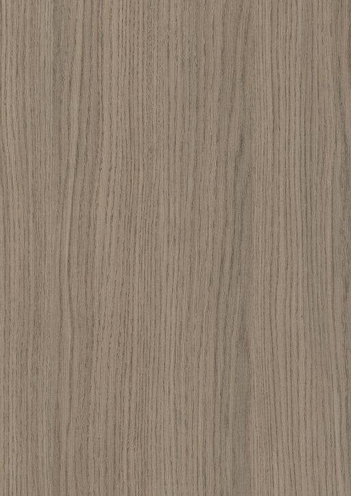EGGER H3158 ST19 Grey Vicenza Oak decor swatch